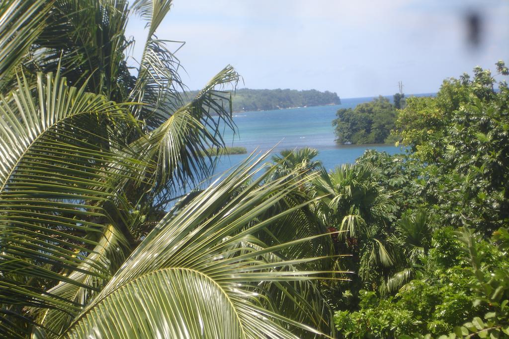 Finjam Cottage Port Antonio Extérieur photo